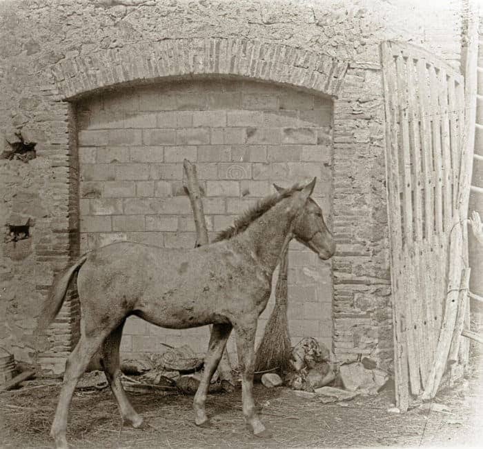 Historic photographs of the estate · 1920–1935